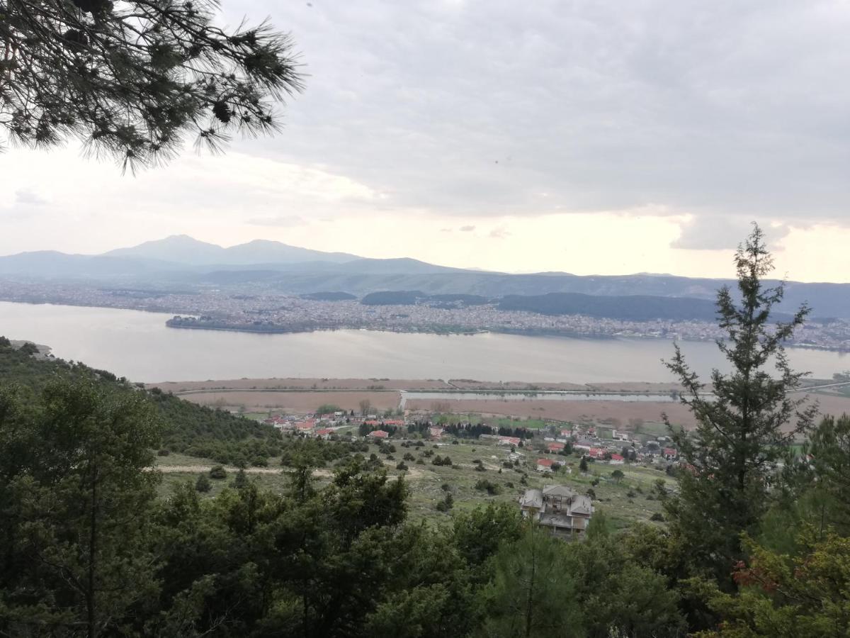 House With View In Amfithea Apartment Ioannina Exterior foto