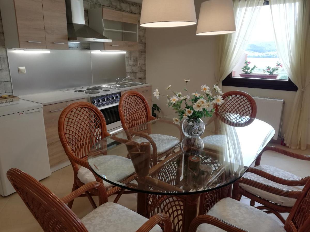 House With View In Amfithea Apartment Ioannina Exterior foto